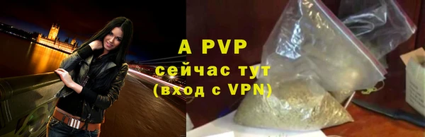 таблы Каменногорск