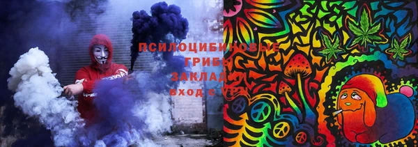 стафф Каменск-Шахтинский
