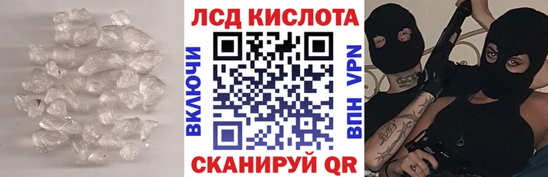 Купить  Сегежа  Лсд 25 экстази кислота 